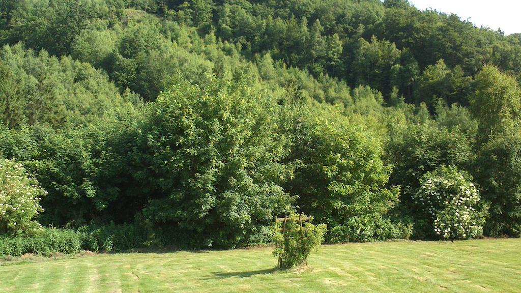 La Cle Des Champs Villa Bertogne Luaran gambar